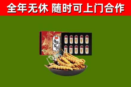 黑河市回收冬虫夏草价格